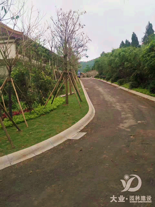 校園園林綠化養(yǎng)護應該如何做?