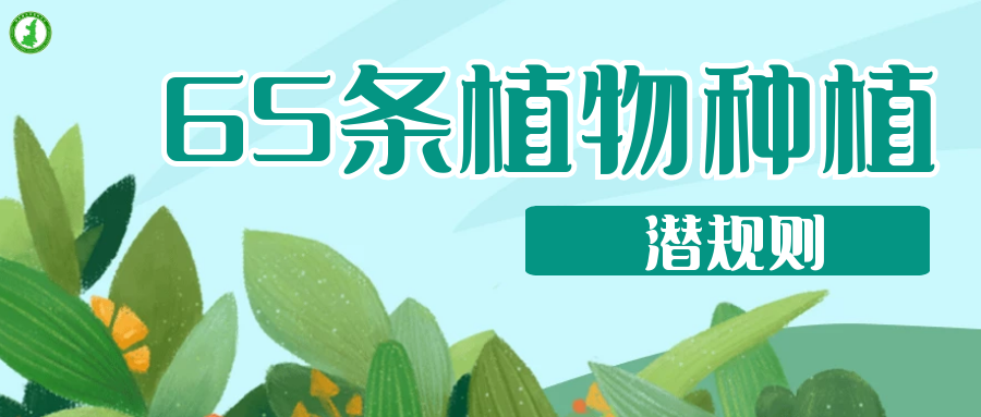 65條植物種植潛規(guī)則，園林人的血淚總結(jié) ！